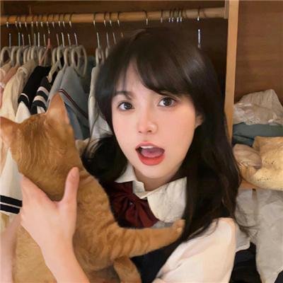 野探哈莉第四季