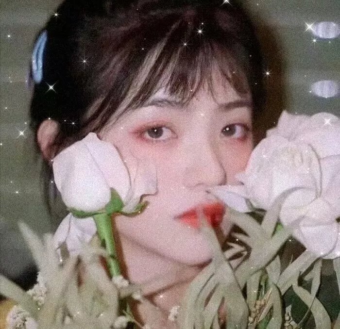 我的黑帮恋人